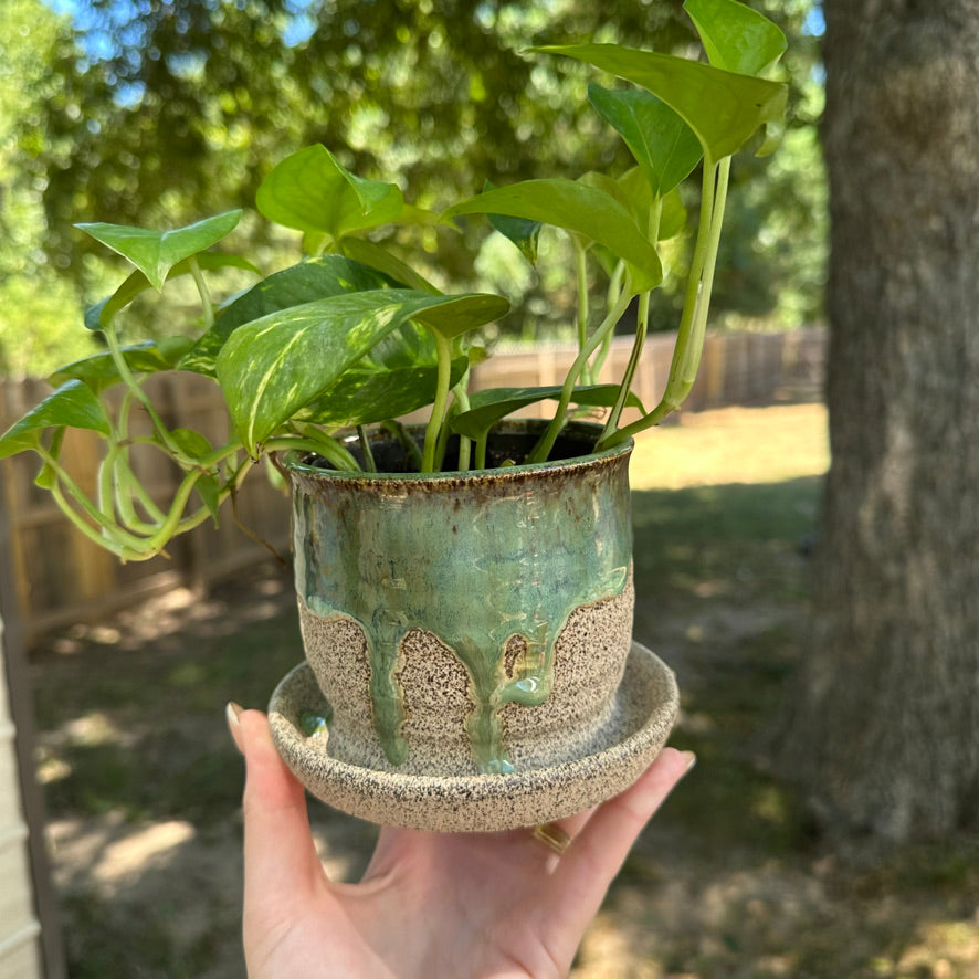 Mini Planter