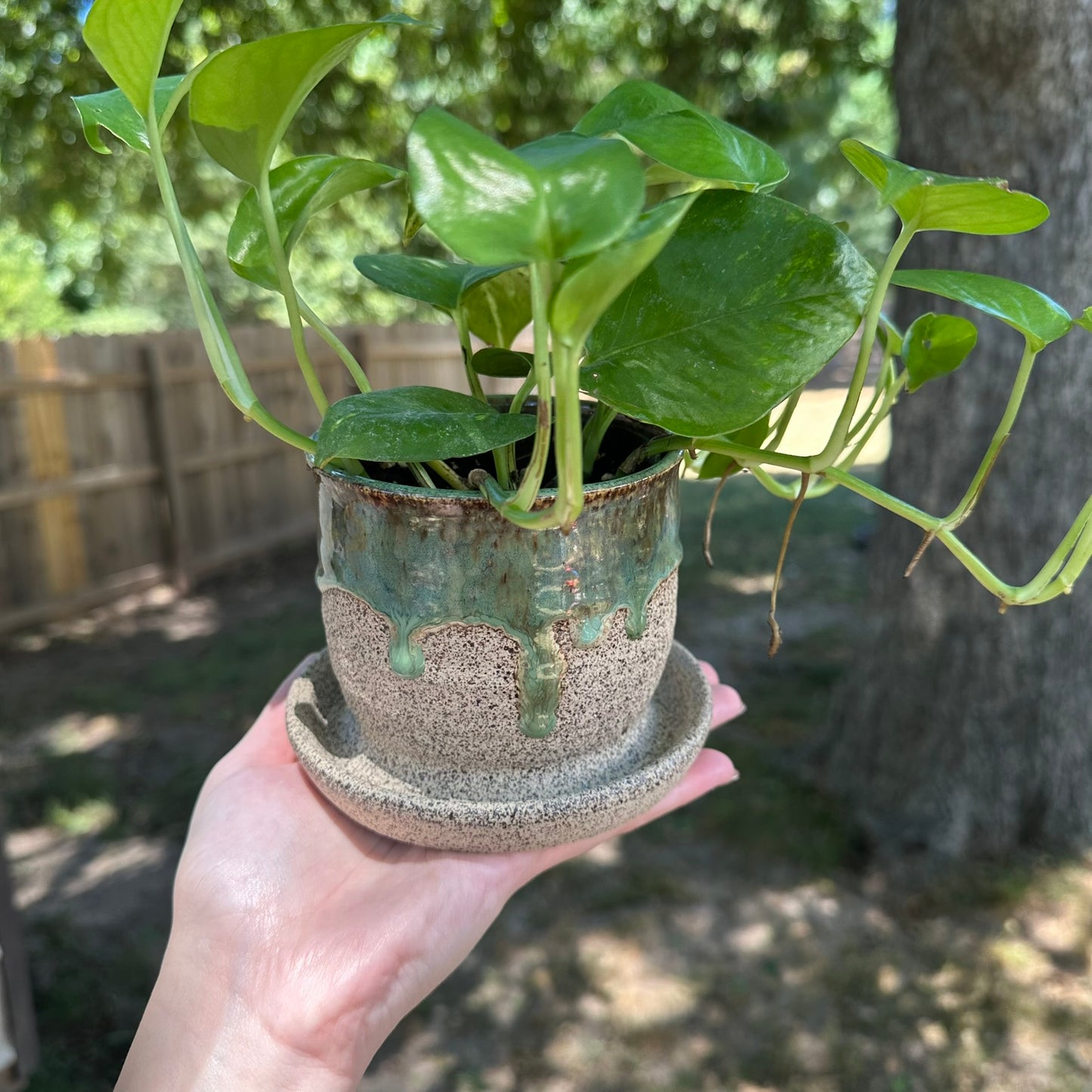 Mini Planter