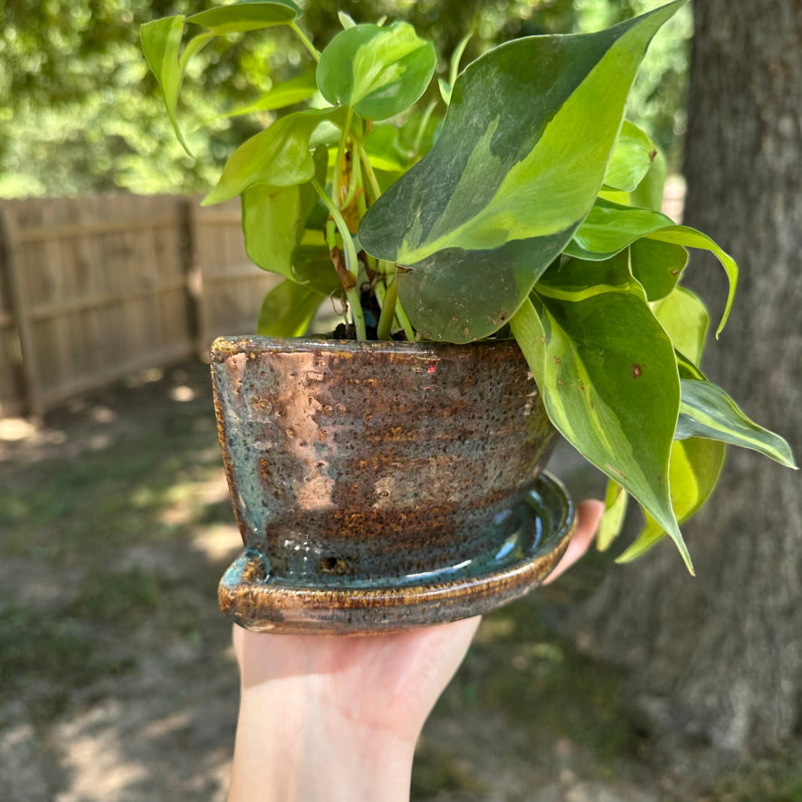 Bookend Planter