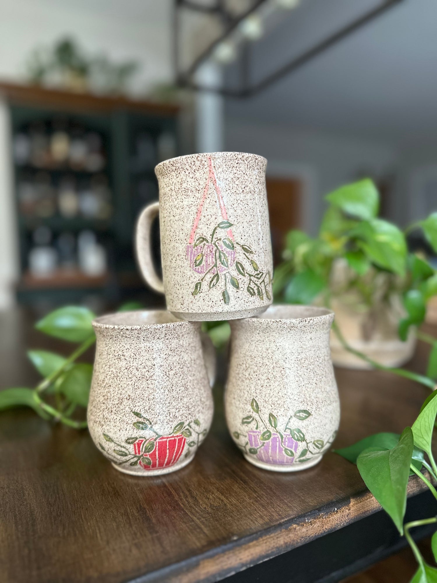 House Plants