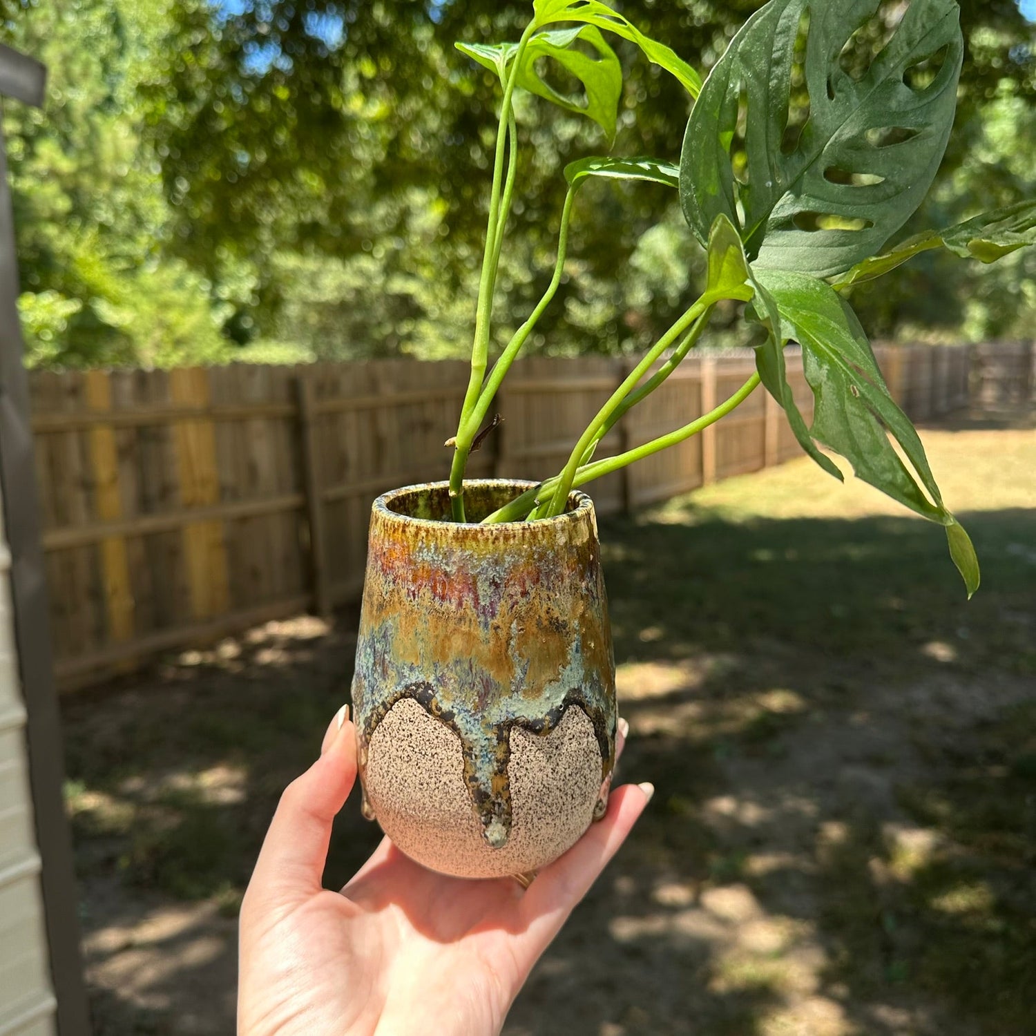 Planters & Bud Vases