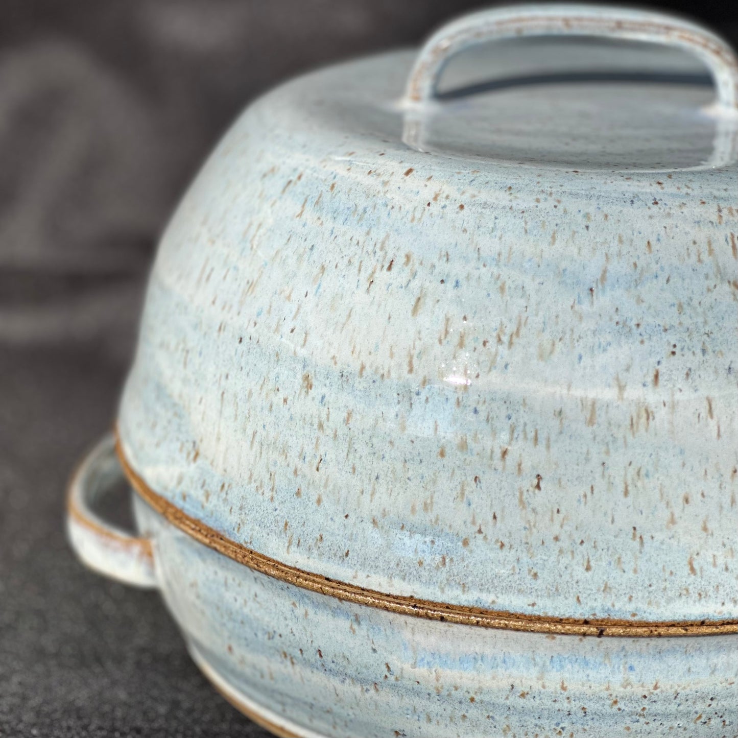 Robins Egg Bread Oven