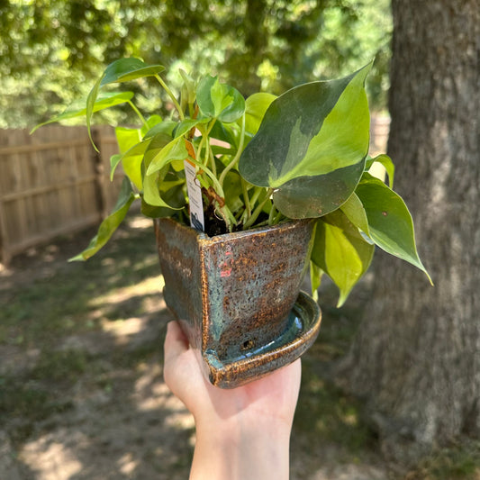 Bookend Planter