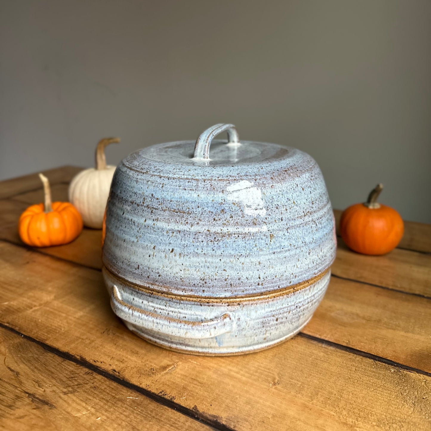 Robins Egg Bread Oven